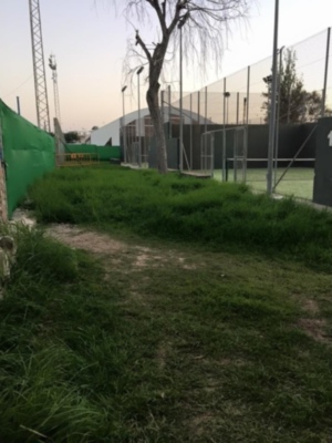 IZQUIERDA  UNIDA PROPONE EN EL PLENO DE NOVIEMBRE LA MEJORA DE LAS INSTALACIONES DEPORTIVAS EN EL CENTRO POLIDEPORTIVO MUNICIPAL.