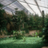 Jardín Americano de Sevilla