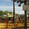 IZQUIERDA UNIDA DE CHIPIONA PRESENTA A PLENO MEDIDAS PARA PONER EN VALOR EL PARQUE PÚBLICO BLAS INFANTE.