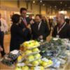 LLEGA A ANDALUCÍA LA GRAN FIESTA DEL CONSUMO RESPONSABLE