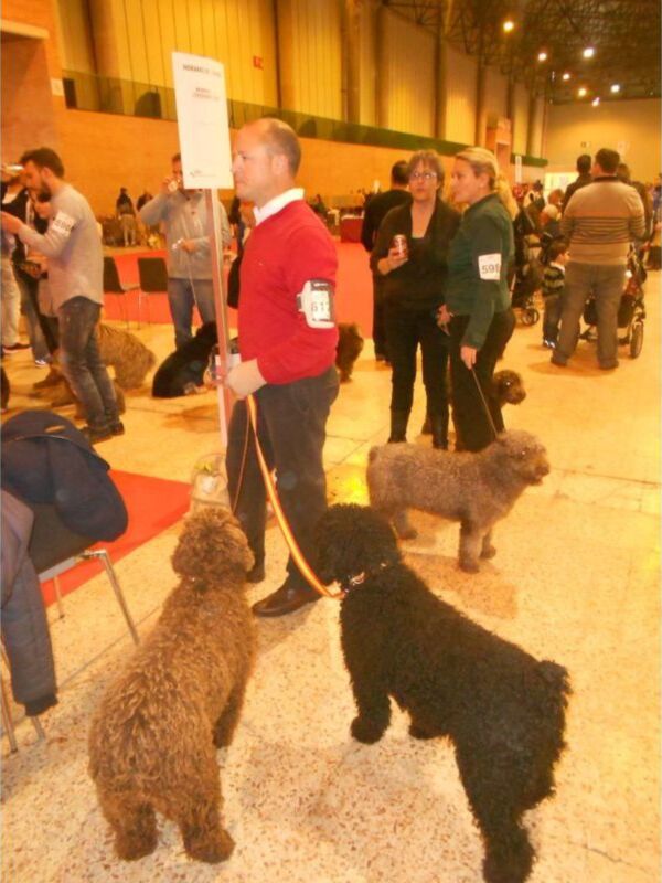  FIBES ACOGE SURMASCOTAS 2016, el mayor centro de exposición y venta de mascotas de Andalucía los días 5 y 6 DE MARZO