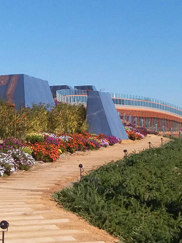 Sevilla tiene la mayor superfice de cubierta vegetal sobre un edificio, construido en España