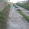 Chipiona solicitará subvenciones para actuar en caminos dentro de una línea destinada a daños por inundaciones
