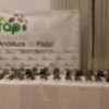 Clausuradas las Ligas Provinciales 2015 de pádel de Sevilla
