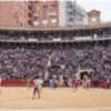 La feria taurina de Fallas 2016 se consolida como uno de los espectáculos más rentable para la ciudad de Valencia