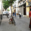 El arbolado urbano objeto de maltrato