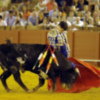 Vueltas al ruedo para Rodrigo Molina y David Salvador