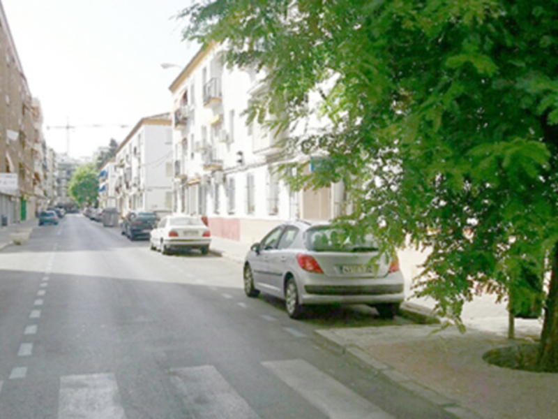 Calle de la ciudad con árboles y edificios, vehículos estacionados.
