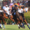 Gran Final de la Copa de Oro Cartier