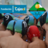 Acuerdo de colaboración del C.W. Dos Hermanas con la Fundación Cajasol