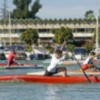 El Náutico, sede del XIII Trofeo Interclubes de Sevilla de piragüismo
