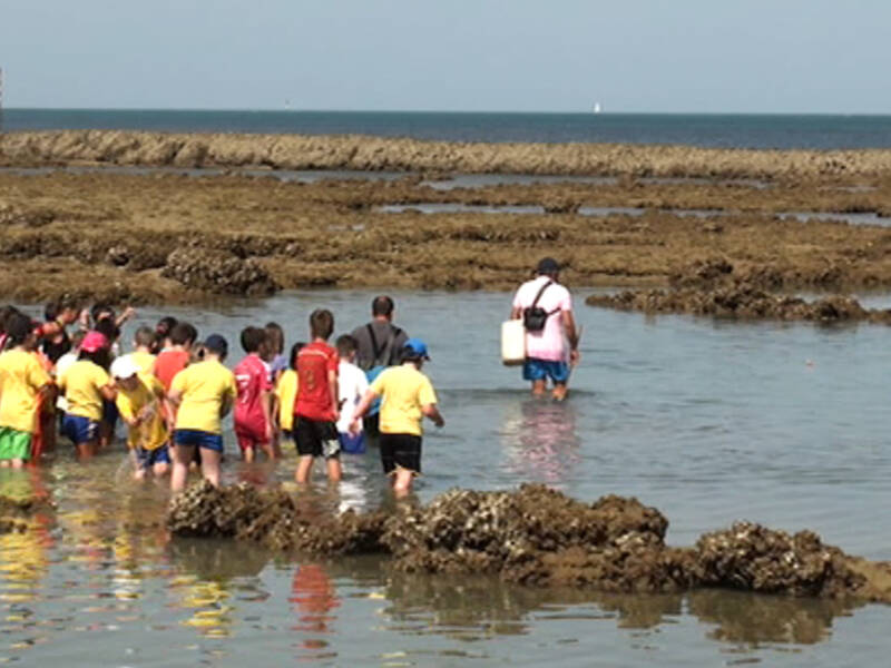 El Pleno de Chipiona acuerda pedir a la Junta soluciones ante las denuncias a los mariscadores de corral