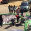 La artista Mercedes Eirín, aterriza en las jornadas APIARIUM