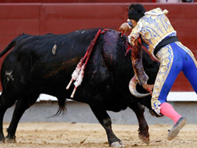 Feria de San Isidro Madrid, 27 de mayo de 2017.