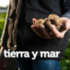 "Tierra y Mar" se hace eco de la polémica de la producción de la patata nueva