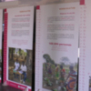 Una exposición de la Fundación Humana sensibiliza en el Centro El Camaleón sobre el importante papel de la mujer en el desarrollo