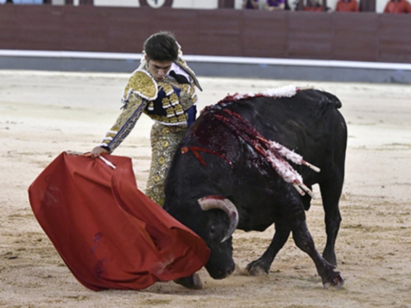 Rafael González corta una oreja al novillo de su presentación en Las Ventas