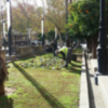 El Ayuntamiento de Sevilla realiza trabajos de mejora de parques y jardines