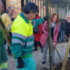 Se acelera la plantación de árboles