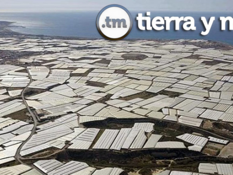 Invernaderos de vanguardia, este domingo en "Tierra y Mar"