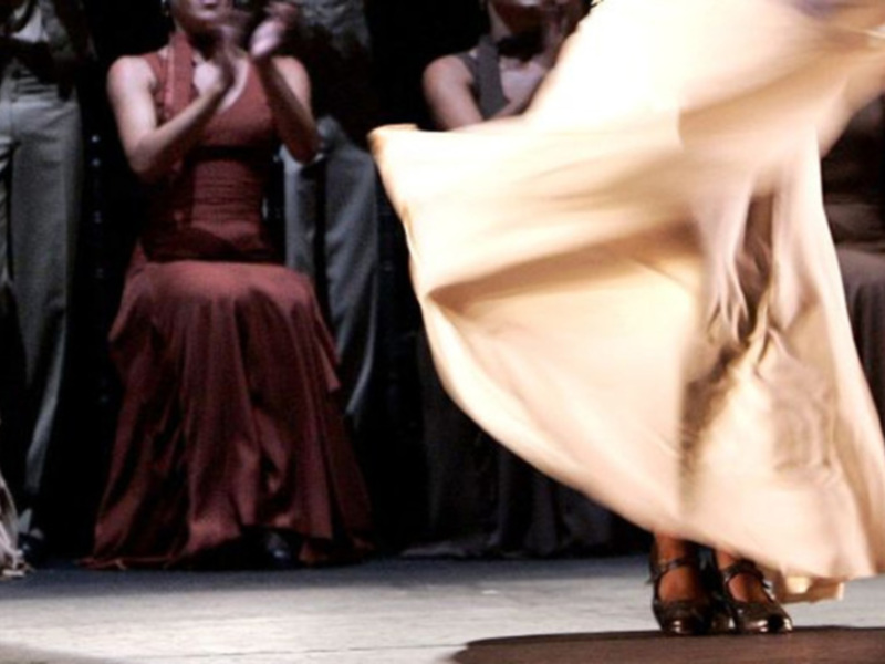 Una mujer con un vestido largo y suave en tonos beige está bailando. El vestido fluye con la danza, mostrando detalles de encaje y seda. La imagen captura el movimiento fluido del vestido, destacando la elegancia y gracia de la bailarina.