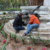Completada la restauración de la Glorieta de Bécquer en el Parque de María Luisa