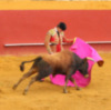 Manolo Vázquez debutaba de luces sin picadores en Cazalla