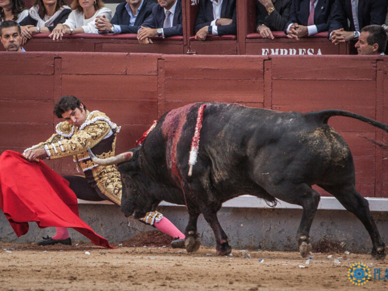 Oreja a la raza de Cayetano