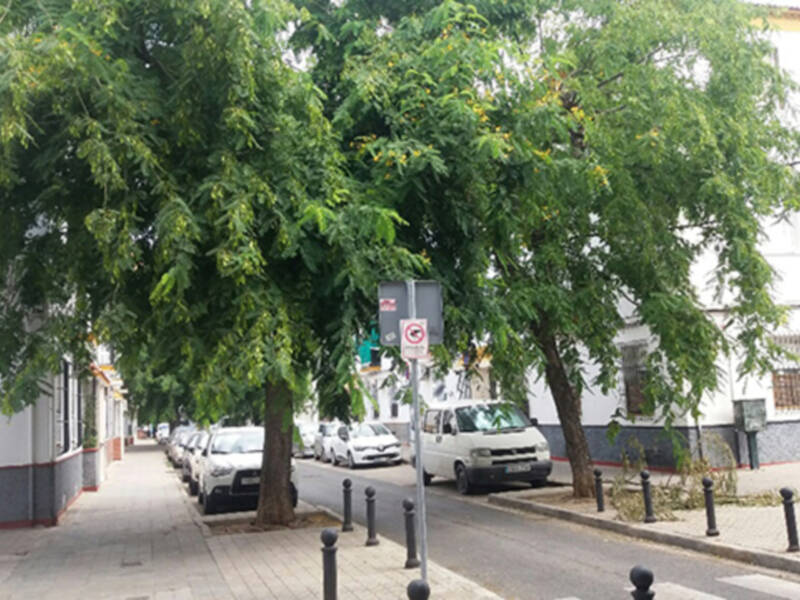 Las plantas no se rigen por el calendario gregoriano