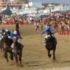 Canal Sur Televisión y ATV, un año más, con las Carreras de Caballos de Sanlúcar de Barrameda