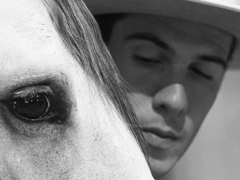 ANCCE organiza un clinic de Equitación de Trabajo (ET) con caballos de Pura Raza Española