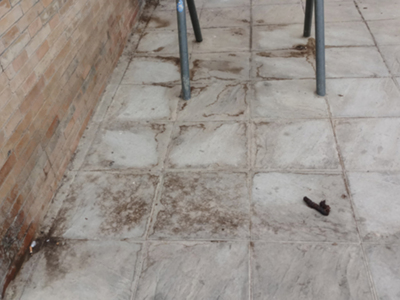 El espacio público se deteriora y presenta problemas de higiene de manera puntual.