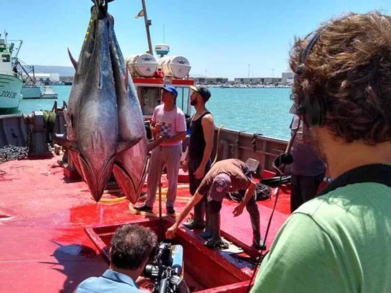 Una persona sostiene un gran atún en el barco mientras otros observan. El agua azul y la costa son visibles al fondo, bajo un cielo despejado.