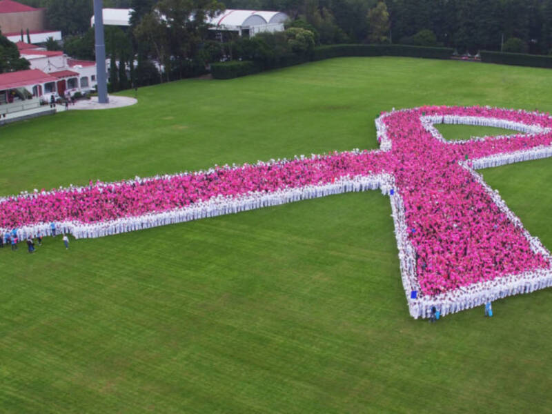 La Asociación Lazo Rosa conmemora el Día Internacional contra el cáncer de mama con la IIª Gala Rosa en Sevilla