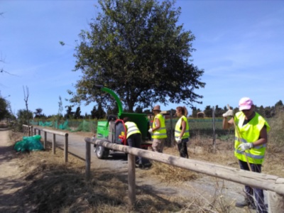 Medio Ambiente finaliza la primera fase de los trabajos de limpieza y mantenimiento en la Vía Verde