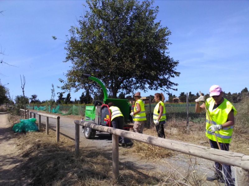 Medio Ambiente finaliza la primera fase de los trabajos de limpieza y mantenimiento en la Vía Verde