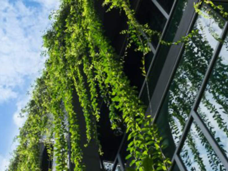 Edificio con plantas colgantes en la fachada, iluminado por el sol y con un cielo azul claro.