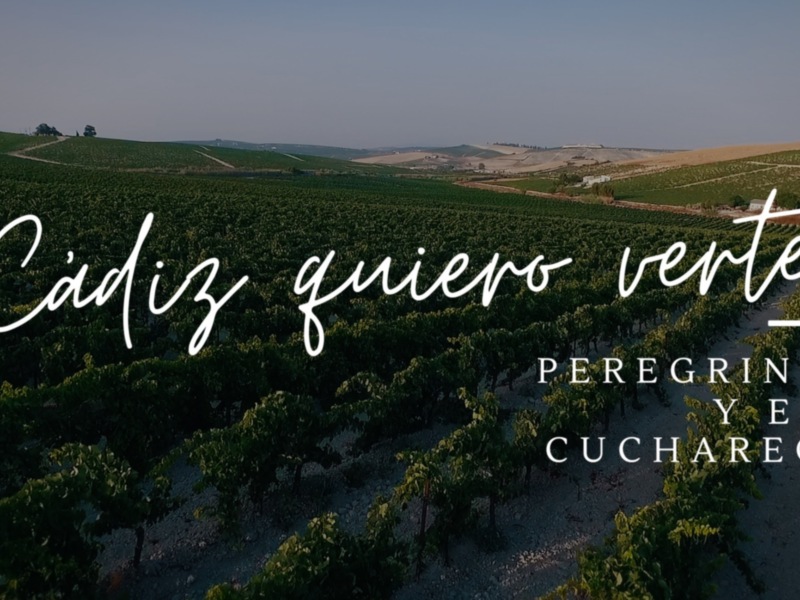 Diputación lanza el segundo capítulo de ‘Cádiz quiero verte’ que difunde historias de turistas como apoyo al sector