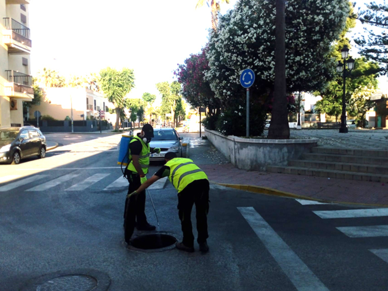 Sanidad ha comenzado hoy una actuación general de desratización y desinsectación en el municipio