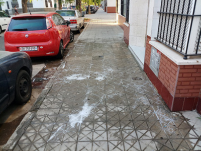 Comunidades de vecinos de Sevilla, afrontan la limpieza y lavado de acerados por la frecuente existencia de excrementos caninos.