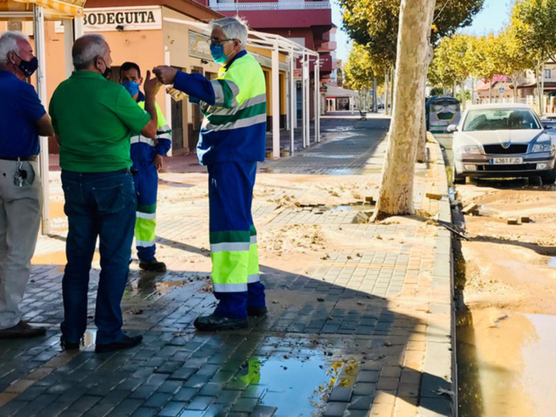 La vía general de abastecimiento de agua de la Laguna sufre de nuevo una rotura ocasionada por las raíces de los árboles