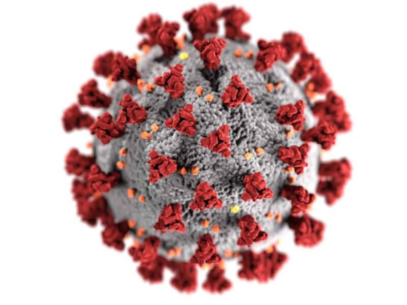 Representación artística de un virus, posiblemente un coronavirus, con estructuras rojas y gris en su superficie, sobre un fondo blanco. Esta imagen es una representación artística y no es una representación científica precisa de un virus real.