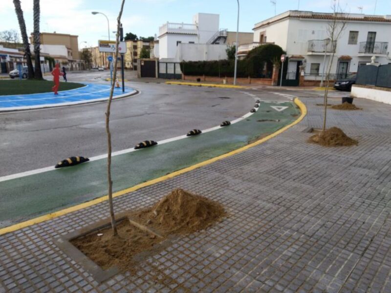 Comienza la plantación de 30 árboles de la especie júpiter en la zona de acerado renovada en la avenida del Esturión