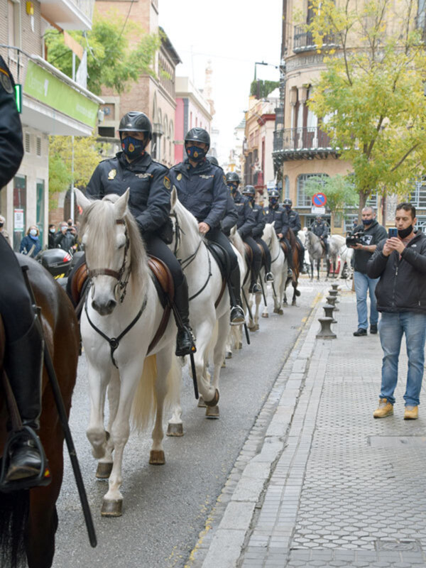 Hombres montando caballos en una calle de ciudad, con cascos y armaduras. Fondo urbano con edificios y árboles.