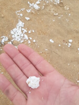 La sustancia desconocida aparecida en la costa chipionera parece proceder de un vertido en alta mar 