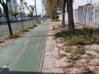 Alarmante deterioro de acerados y pavimentos en Sevilla