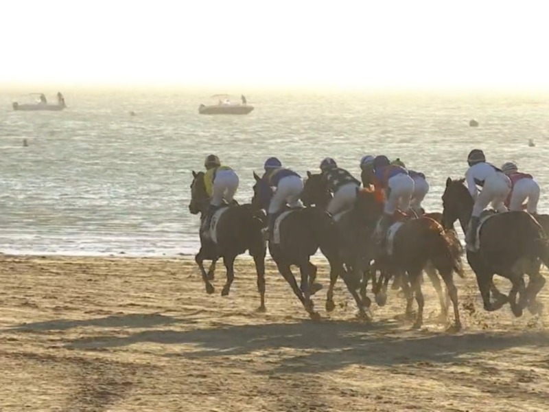 Corrida de caballos en la playa con mar y barcos al fondo.