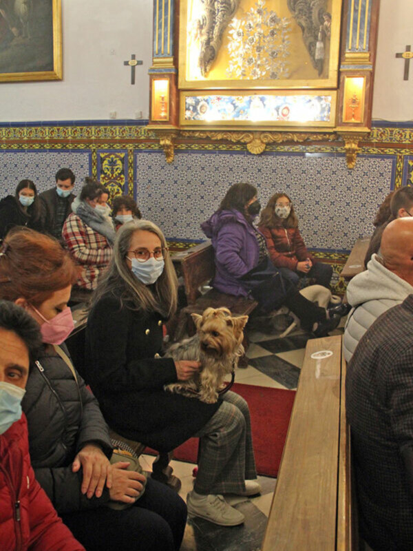 En la Capilla de la Calle Amparo de Sevilla se celebró la Bendición de animales de compañía