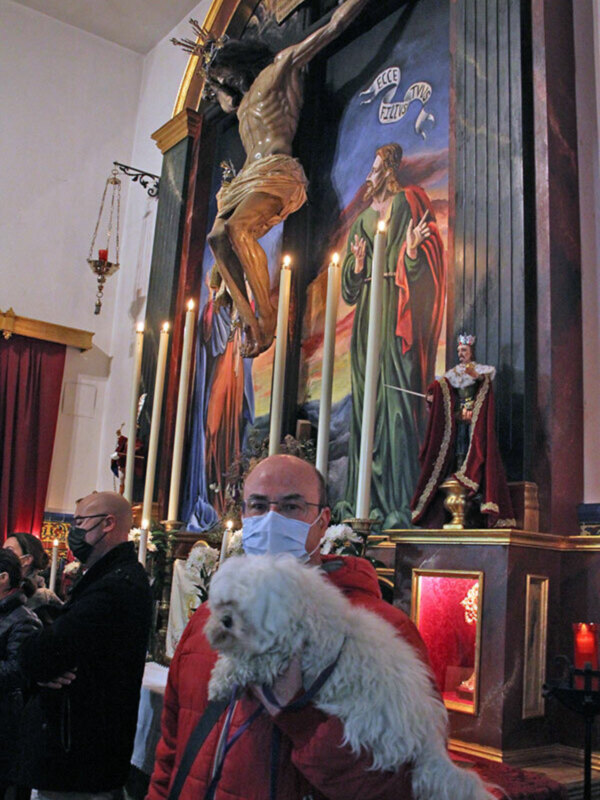 Bendición de animales en la Divina Pastora de Santa Marina de Sevilla