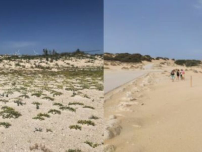 Chipiona recibe de Diputación material de balizamiento para la conservación de los ecosistemas litorales 